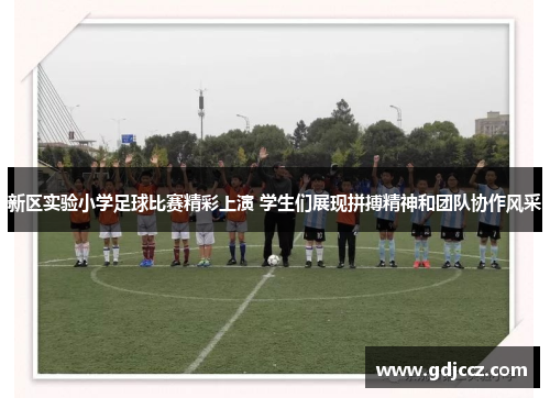 新区实验小学足球比赛精彩上演 学生们展现拼搏精神和团队协作风采