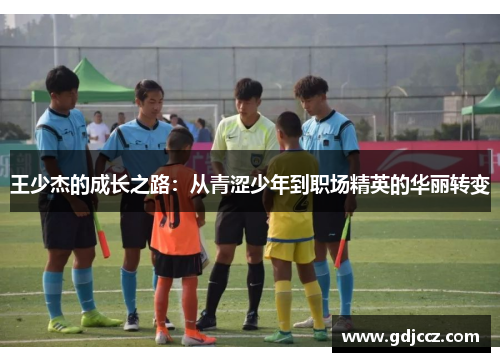王少杰的成长之路：从青涩少年到职场精英的华丽转变