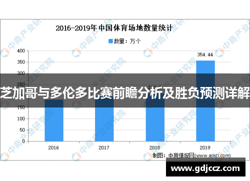 芝加哥与多伦多比赛前瞻分析及胜负预测详解