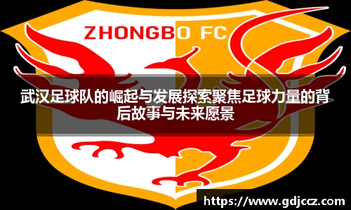 武汉足球队的崛起与发展探索聚焦足球力量的背后故事与未来愿景